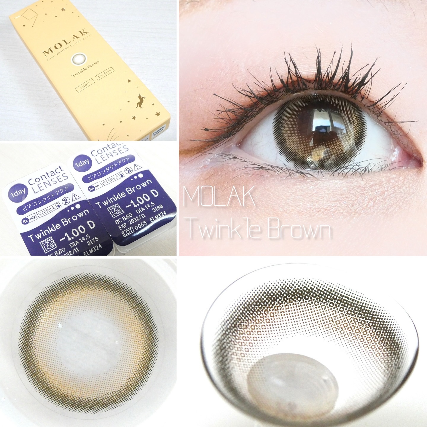 MOLAK 1day トゥインクルブラウン/MOLAK/ワンデー（１DAY）カラコンを使ったクチコミ（2枚目）