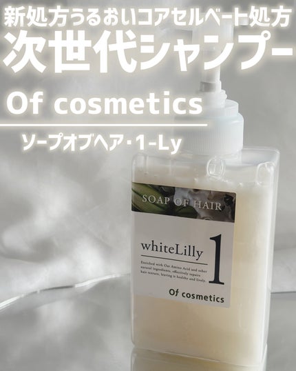 を使ったクチコミ(1枚目)