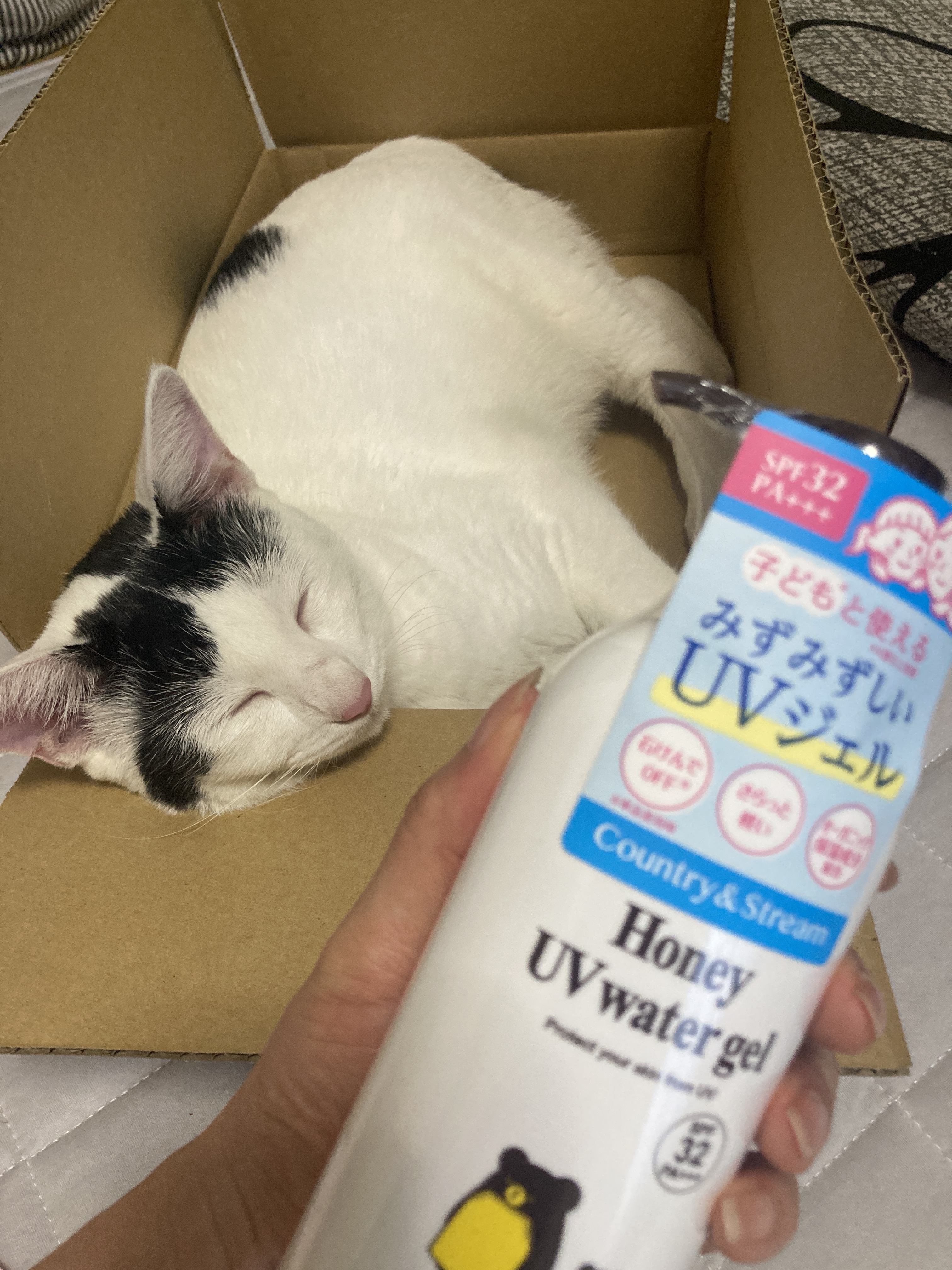 UVウォータリージェル N/カントリー&ストリーム/日焼け止めジェルを使ったクチコミ（1枚目）