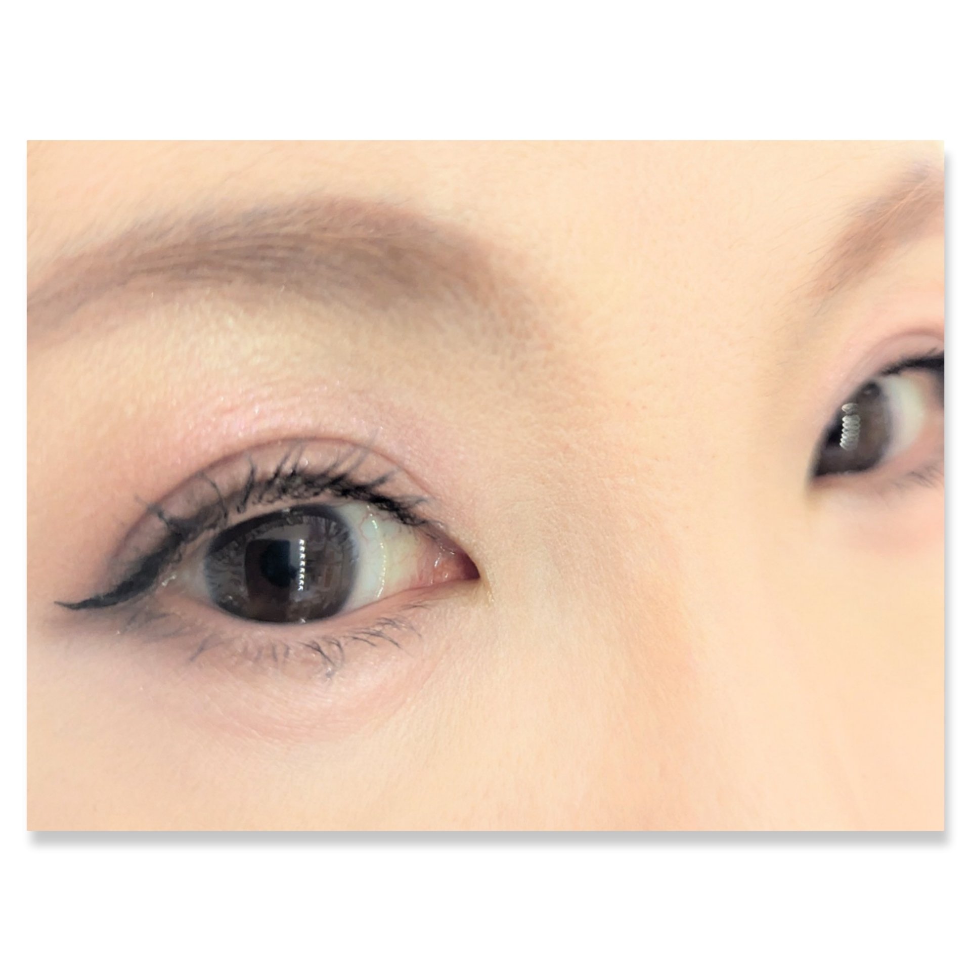 HUAMAO/SHOBIDO/アイシャドウパレットを使ったクチコミ（2枚目）