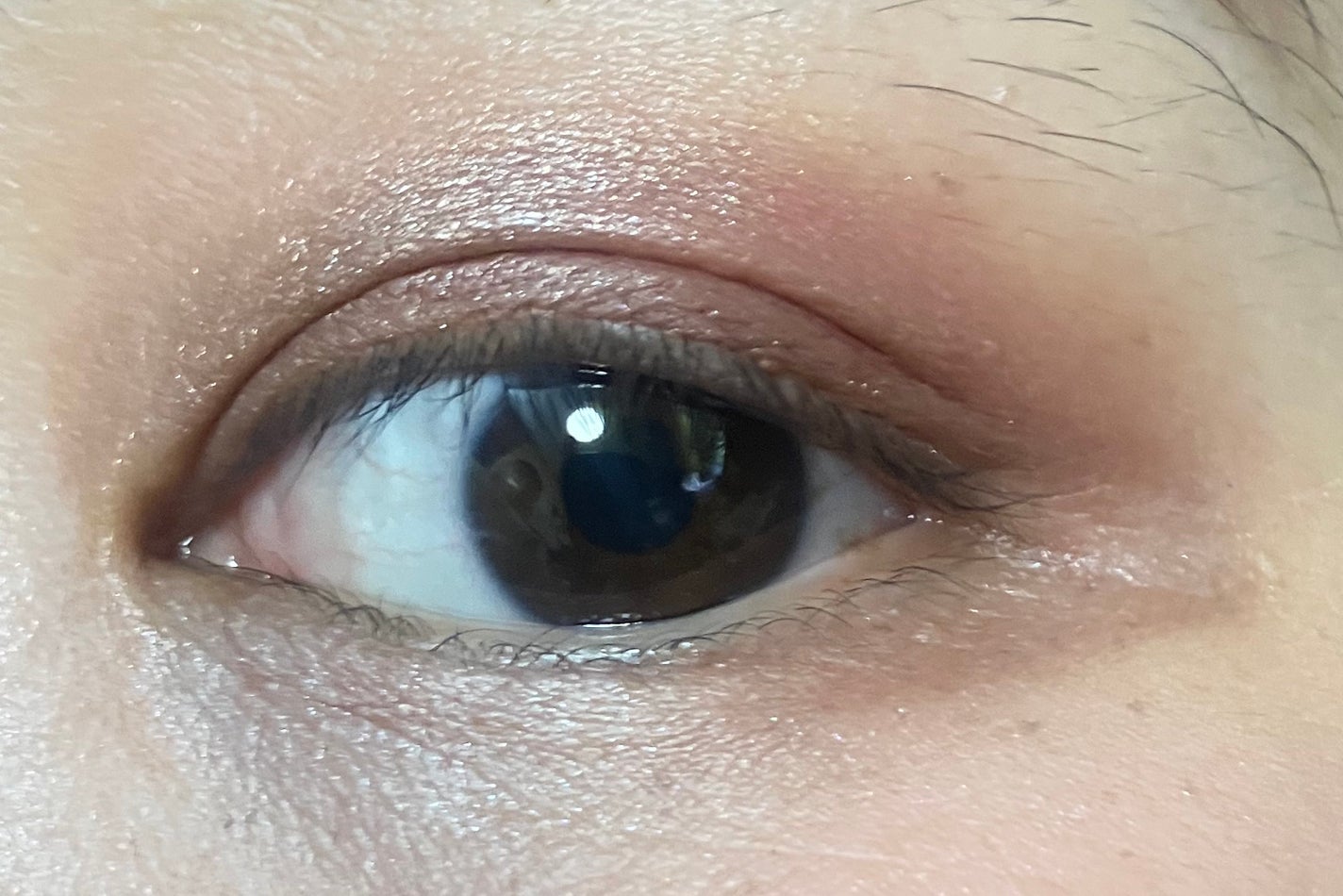 クロマティックス クワッド/shu uemura/アイシャドウパレットを使ったクチコミ(4枚目)