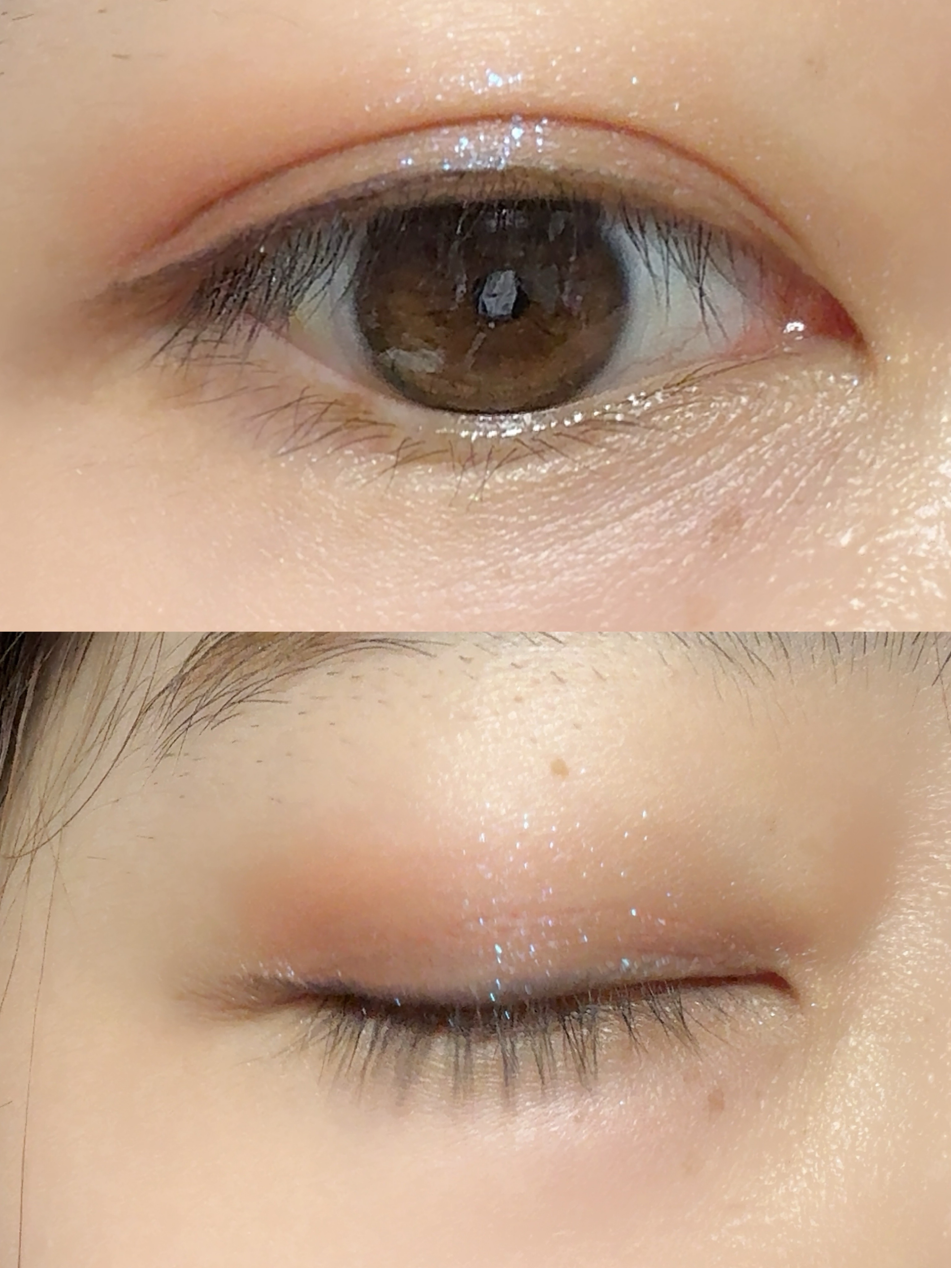 シャドウパレット/dasique/アイシャドウパレットを使ったクチコミ（2枚目）