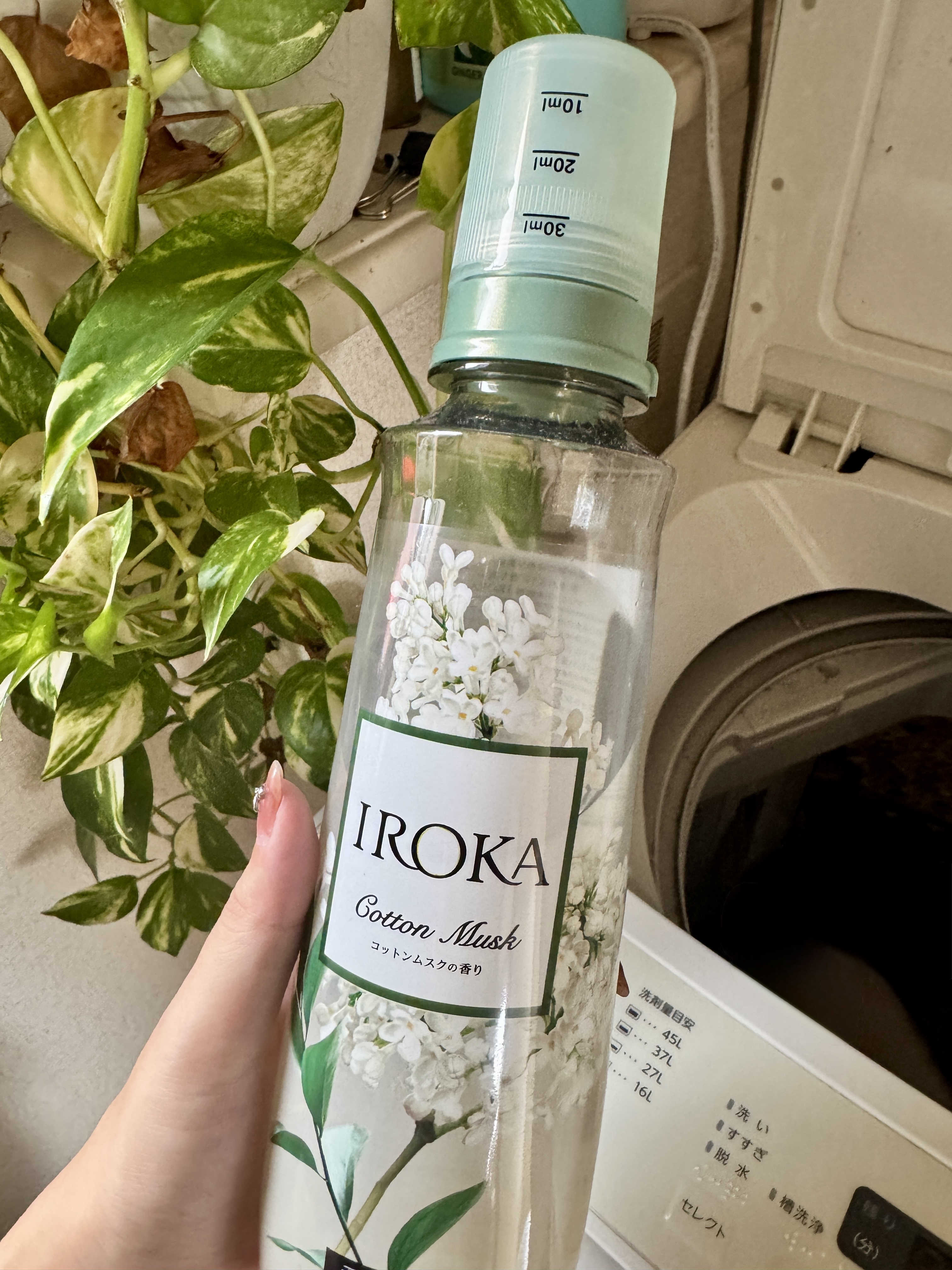 🧺IROKAの新作“コットンムスク”🫧


お花の華やかさに、ふわっとやさしさが重なって、
洗濯物を取り込むたびに甘くて優しい香りに包まれるのが幸せすぎる…🥹♡

雨続きの梅雨でも、お部屋に広がる香りで気分がちょっと晴れる👏🏻

