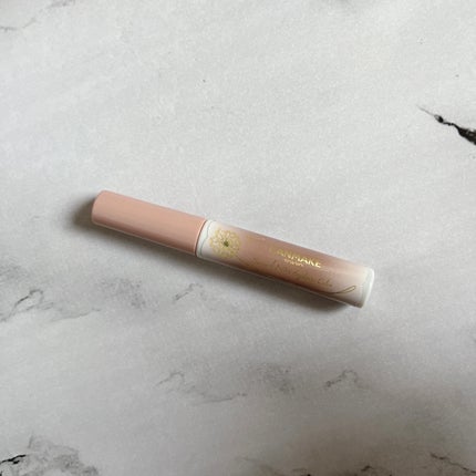 スマートミニアイブロウカラー/キャンメイク/眉マスカラを使ったクチコミ(1枚目)