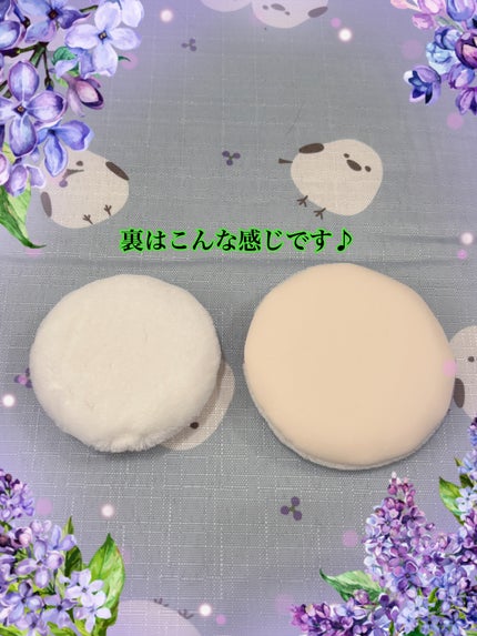 フィニッシングパウダー マット/チャコット・コスメティクス/ルースパウダーを使ったクチコミ(9枚目)