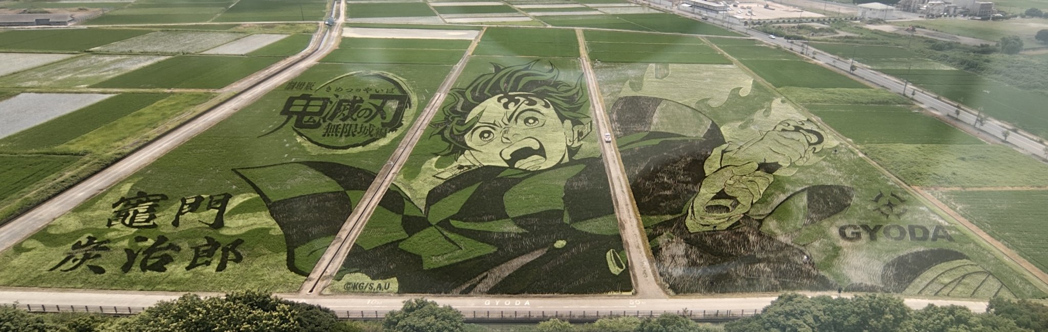 CICIBELLA ワンタッチ日傘/CICIBELLA/日傘を使ったクチコミ（1枚目）