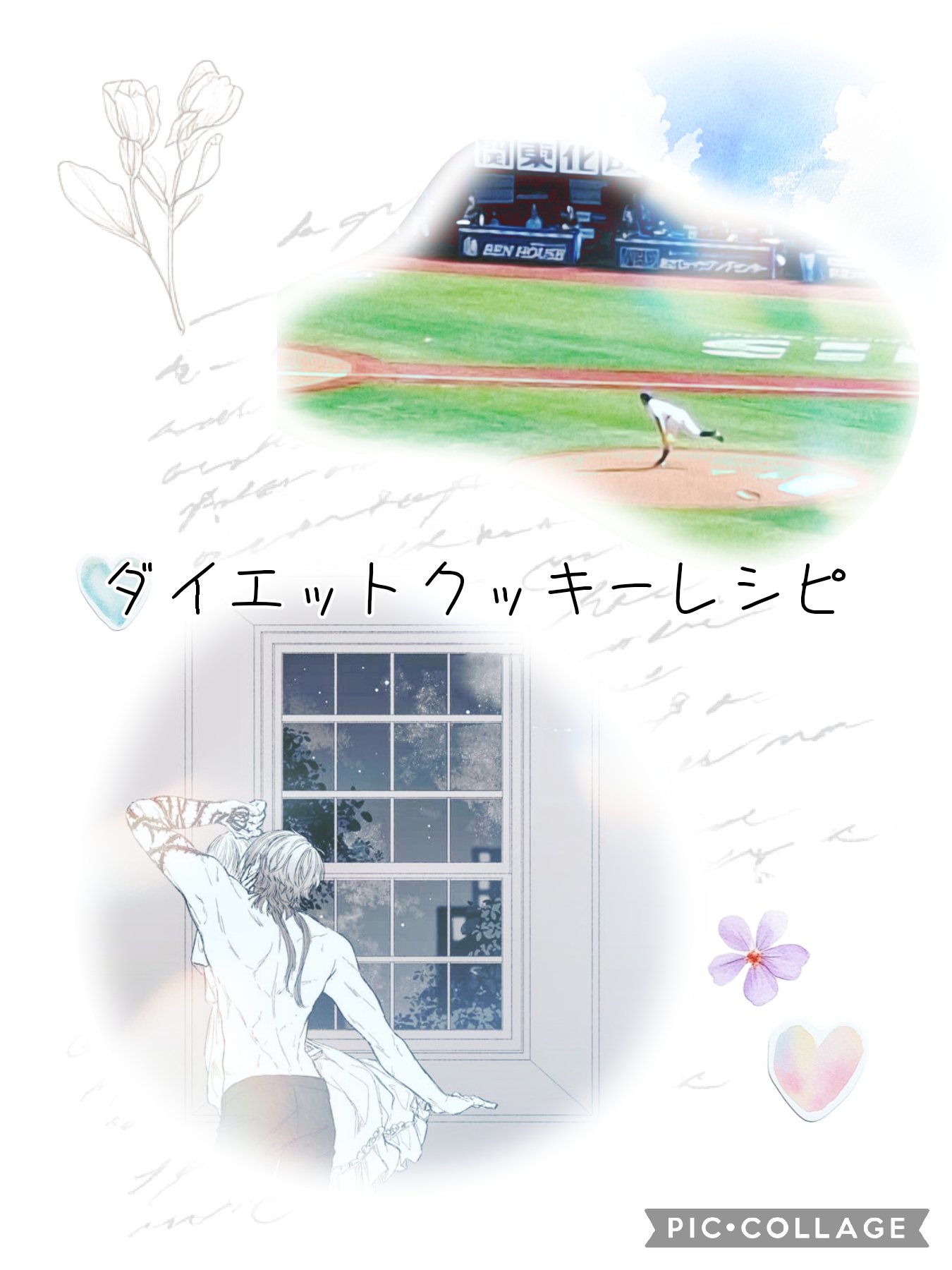 プレミアム ピュア オートミール/ニッショク/オートミールを使ったクチコミ（1枚目）