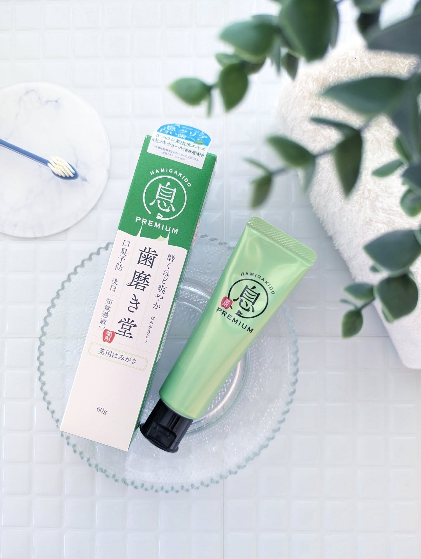 薬用フレッシュペースト【医薬部外品】/歯磨き堂/歯磨き粉を使ったクチコミ（1枚目）