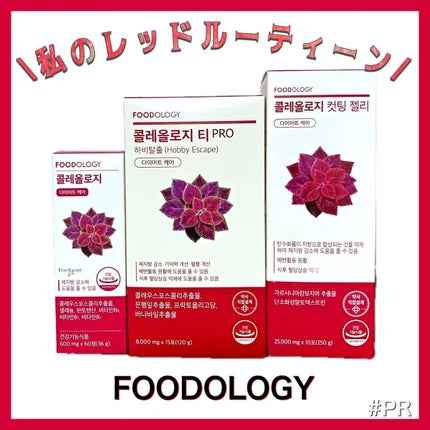 ã³ã¬ãªããžãŒãã£ãŒ/FOODOLOGY/ããªã³ã¯ã䜿ã£ãã¯ãã³ãïŒ1æç®ïŒ