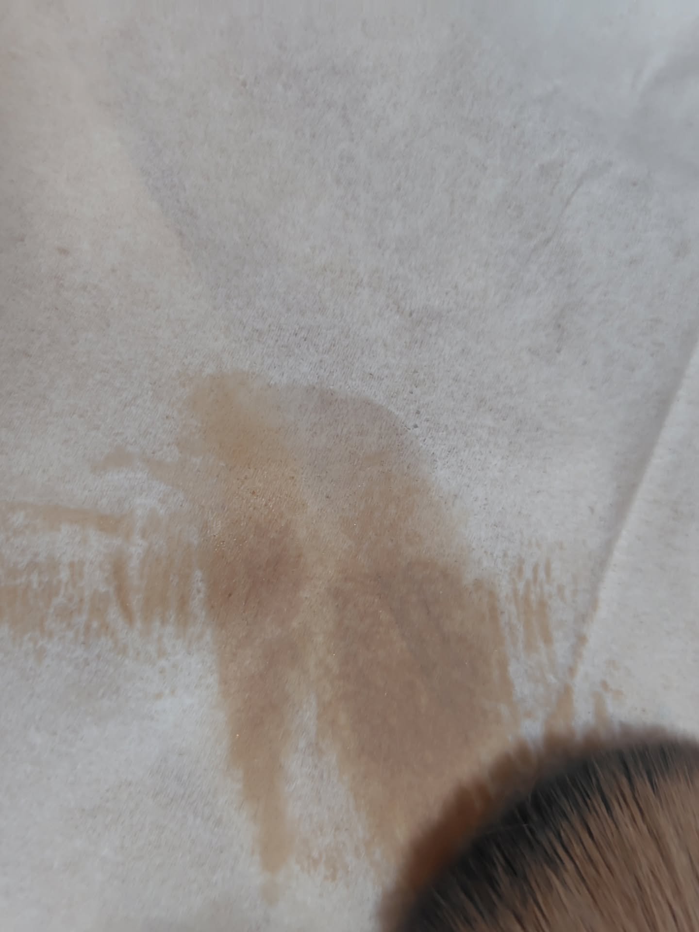 ブリリアント ボルトブラシスプレークリーナー/BLJ/その他を使ったクチコミ（3枚目）