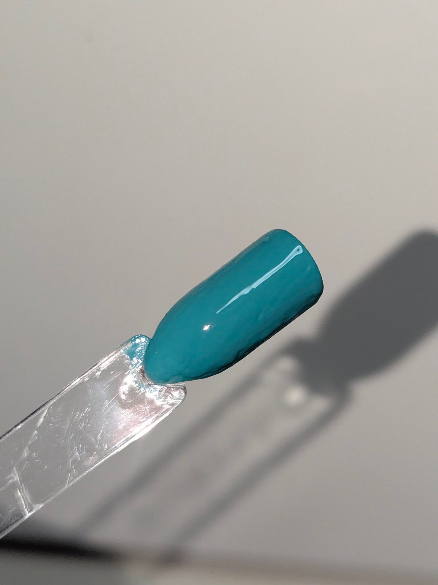 gene TOKYO ネイル/DAISO/マニキュアを使ったクチコミ(7枚目)