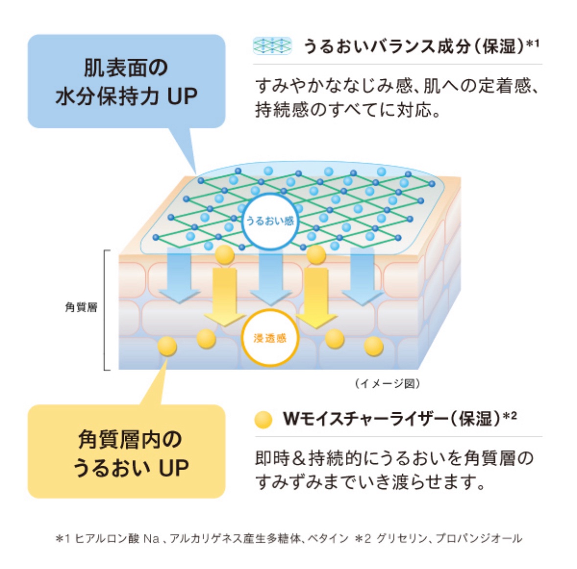 コアバランス トーニングローション/athletia/化粧水を使ったクチコミ（3枚目）