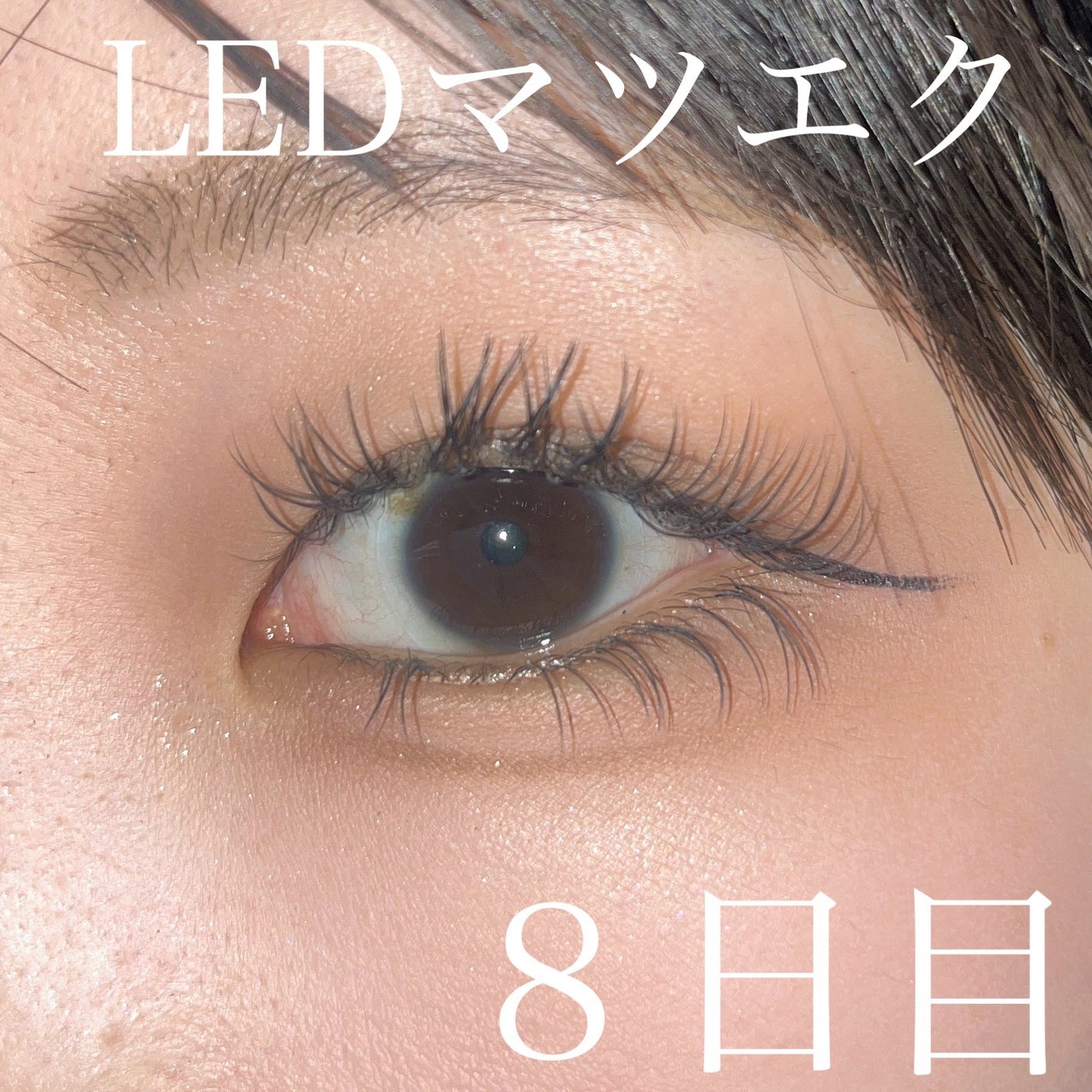 シャドウパレット/dasique/アイシャドウパレットを使ったクチコミ(1枚目)