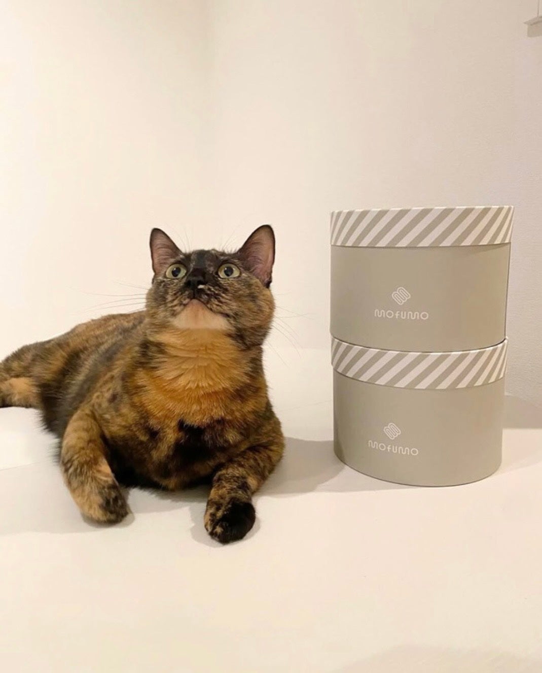 mofumo on LIPS 「「髪を守る。機能性。可愛い。↑最強のヘアターバンとタオル♡」@..」(3枚目)