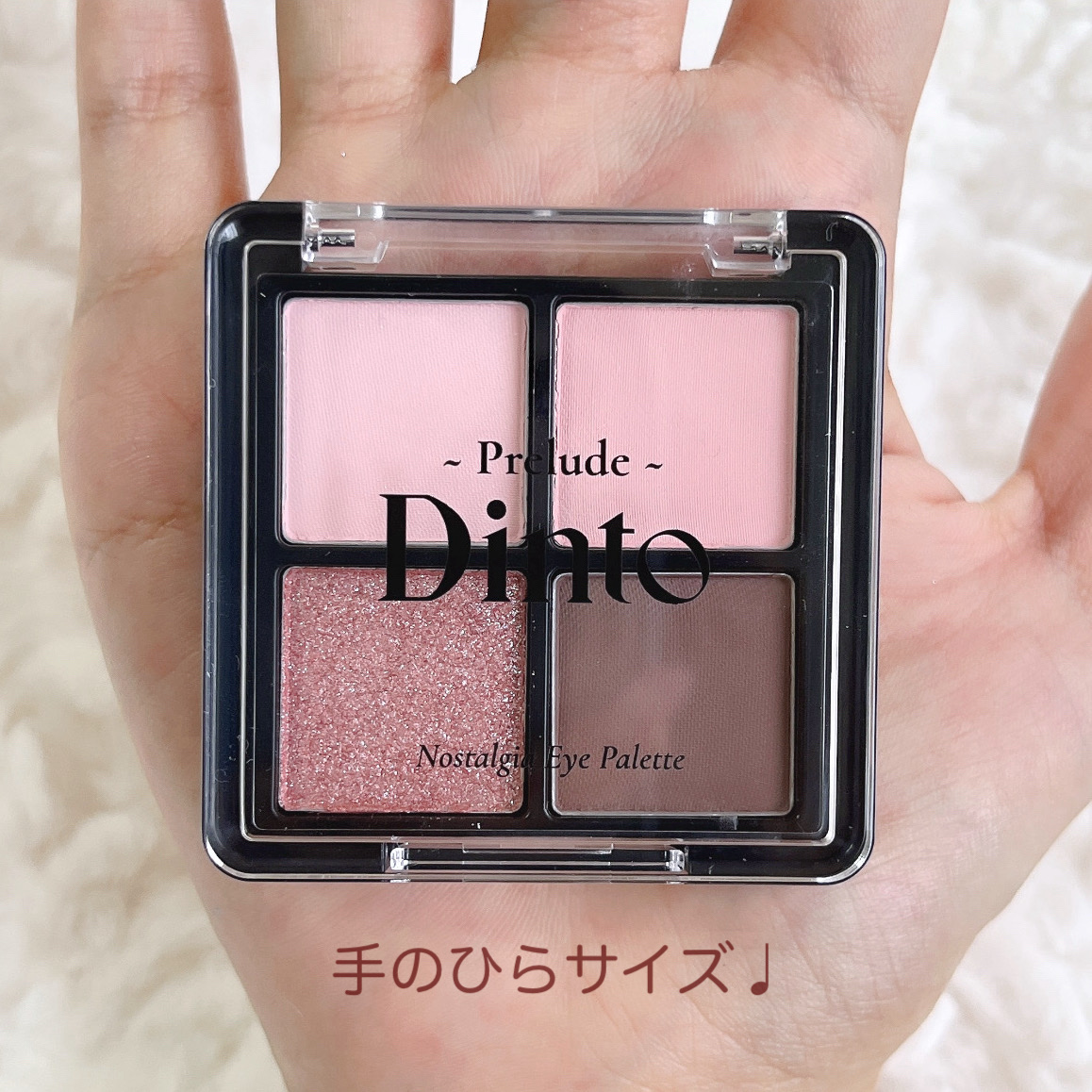 プレリュード・ディント ノスタルジア アイシャドウパレット/Dinto/アイシャドウパレットを使ったクチコミ（3枚目）