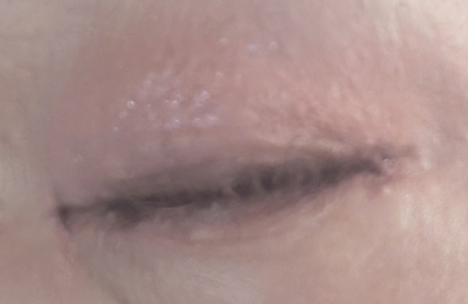 ムードオンアイシャドウ/Lilytone/アイシャドウパレットを使ったクチコミ（3枚目）