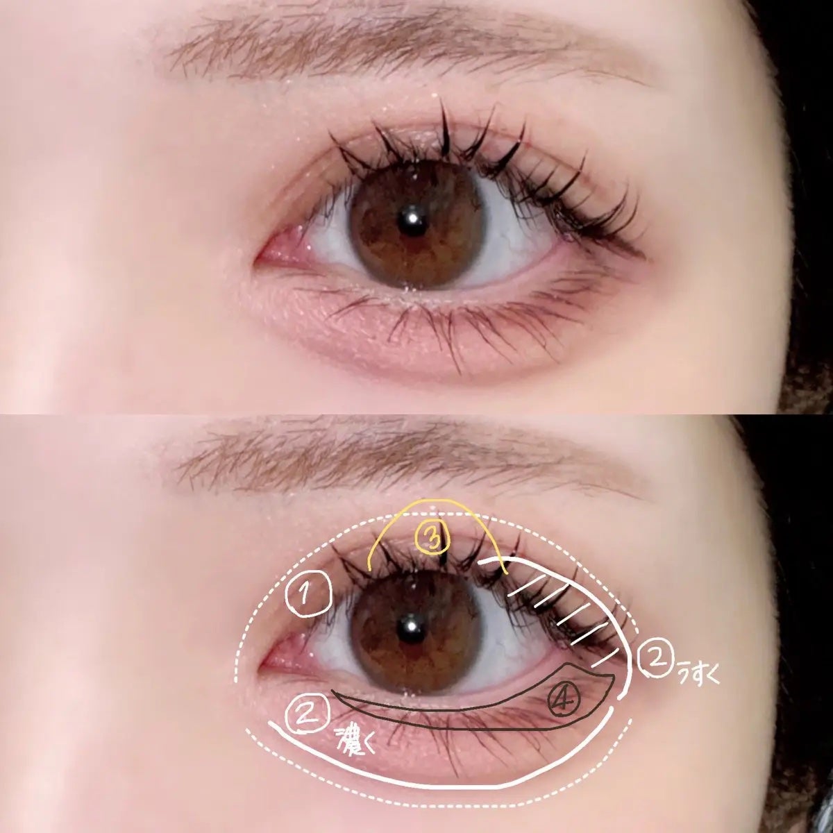 ペリペラ インク ポケット シャドウ パレット/PERIPERA/アイシャドウパレットを使ったクチコミ(1枚目)