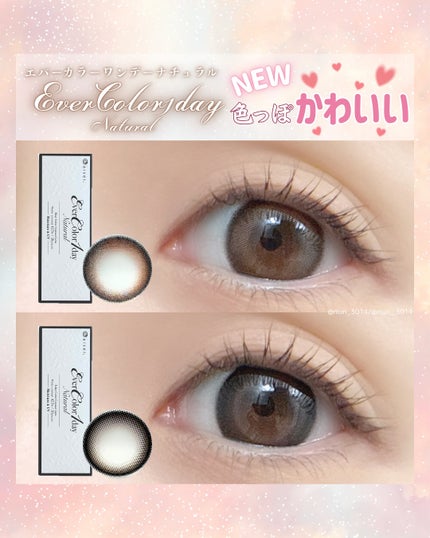 エバーカラーワンデー ナチュラル ミルクブラウニー/エバーカラー/ワンデー(1DAY)カラコンを使ったクチコミ(1枚目)