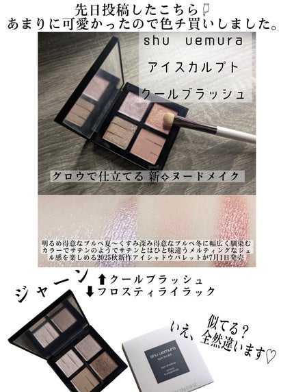 アイスカルプト/shu uemura/アイシャドウパレットを使ったクチコミ(2枚目)