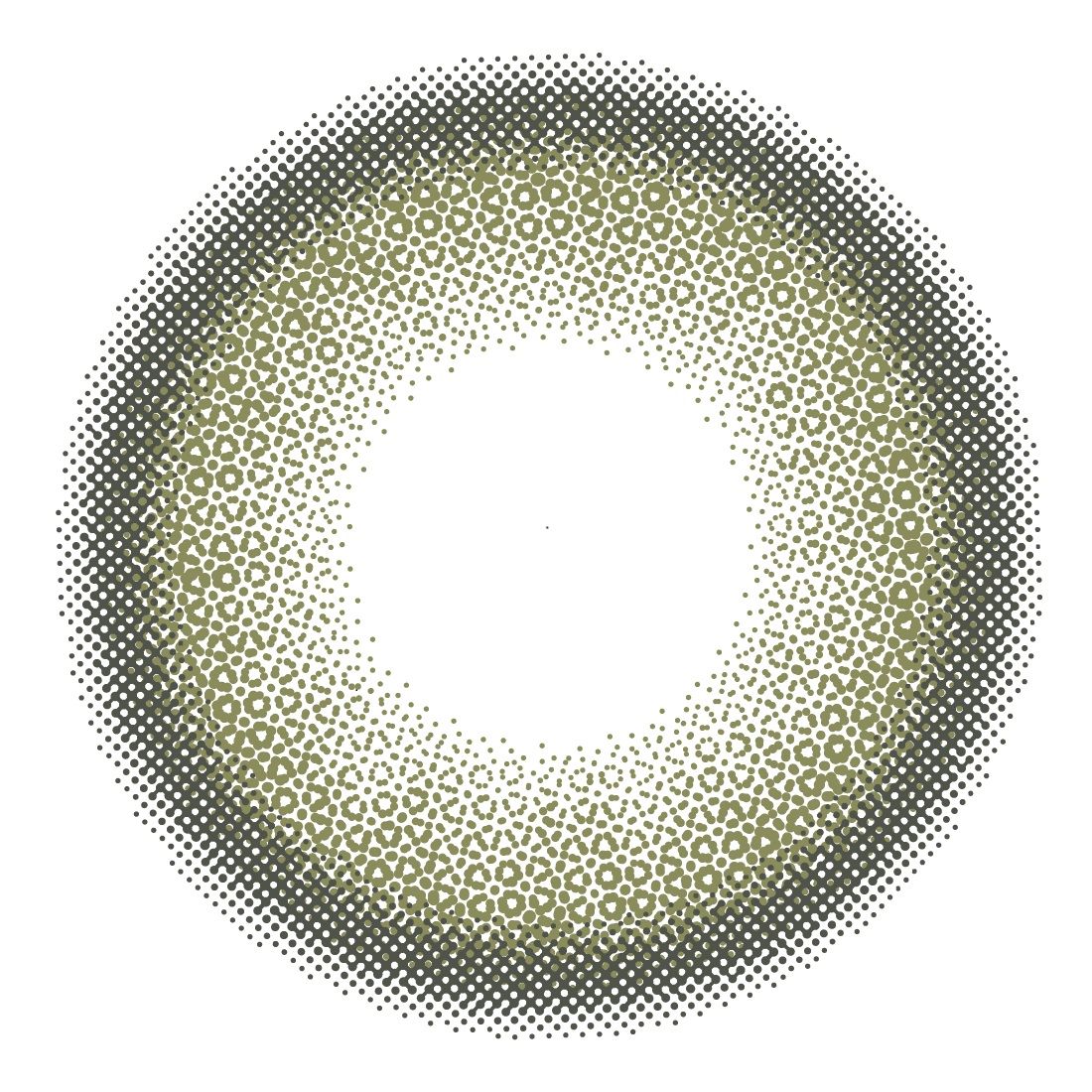 シベリアンオリーブ