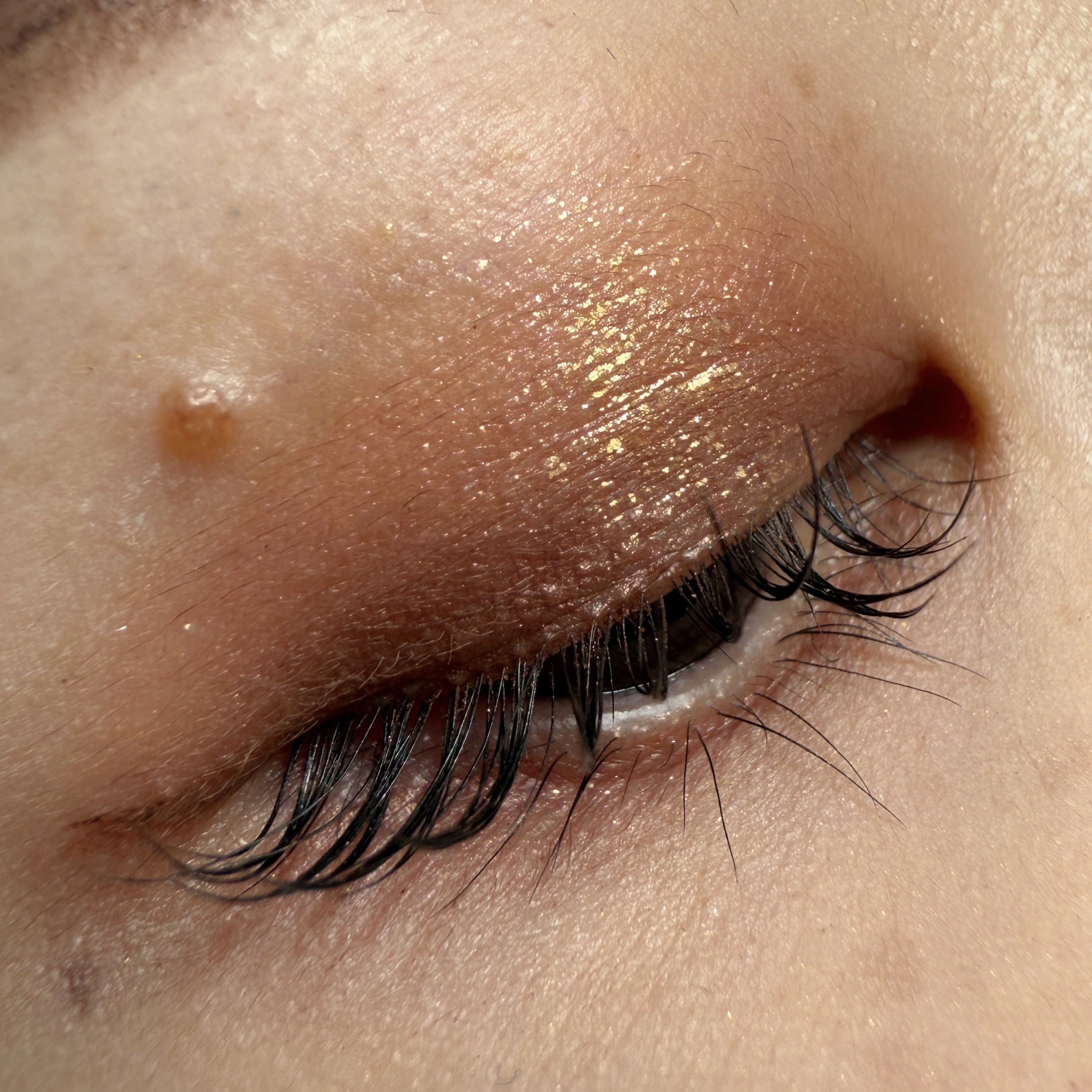 エクシア アイカラー ヴォロンテ/ALBION/アイシャドウパレットを使ったクチコミ（3枚目）