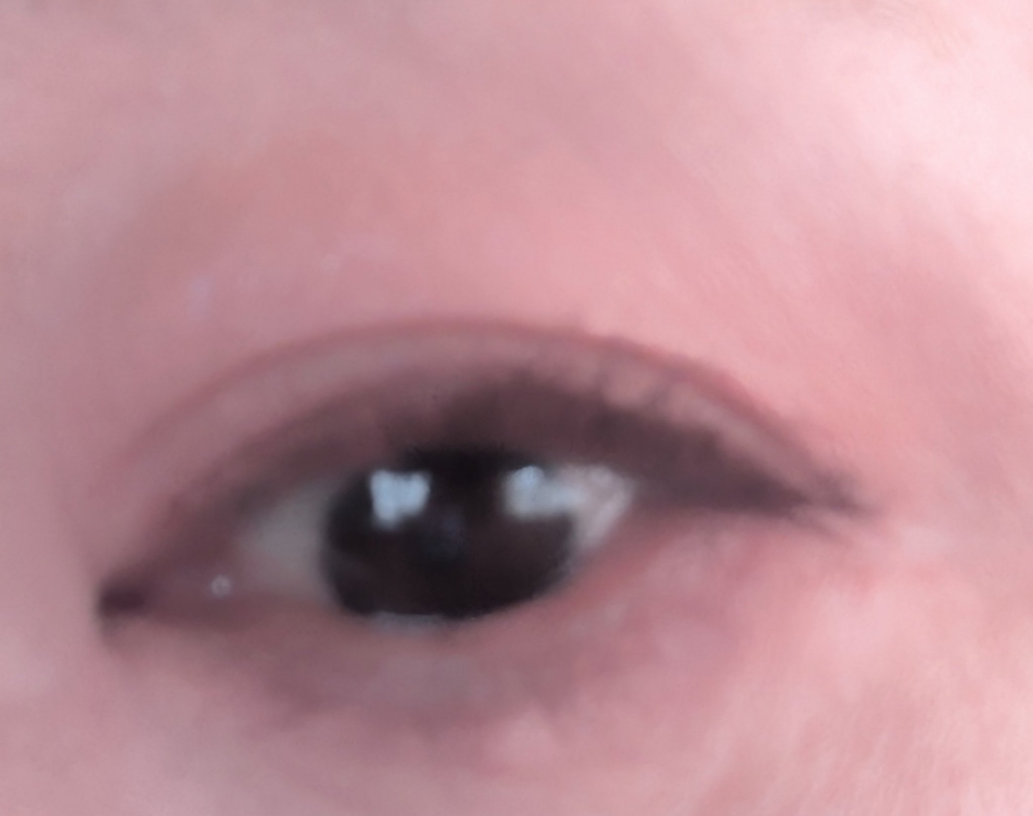 ムードオンアイシャドウ/Lilytone/アイシャドウパレットを使ったクチコミ（2枚目）