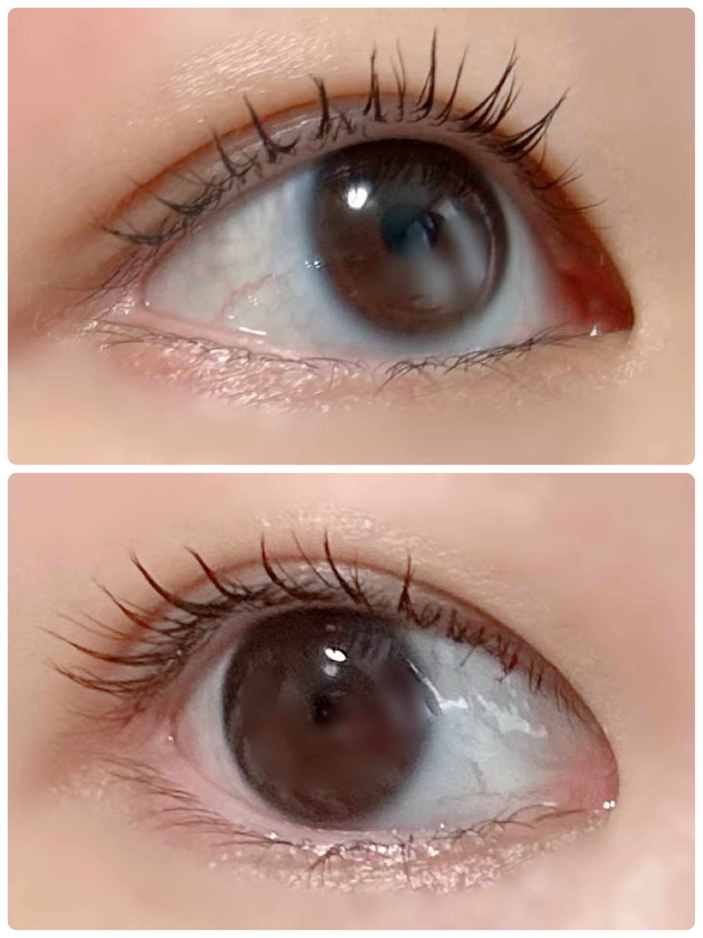 カールキープマジック/コーセーコスメニエンス/マスカラを使ったクチコミ(2枚目)