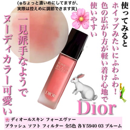 ディオールスキン フォーエヴァー ブラッシュ ソフト フィルター/Dior/チークを使ったクチコミ(3枚目)
