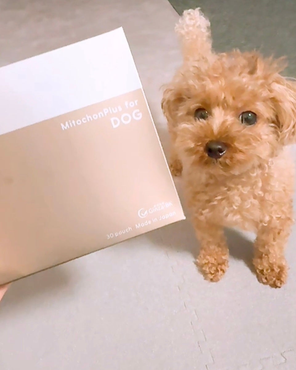 ペリエ on LIPS 「ミトコンプラスフォーペット(犬用・猫用)1.5g×30包大切な..」(2枚目)