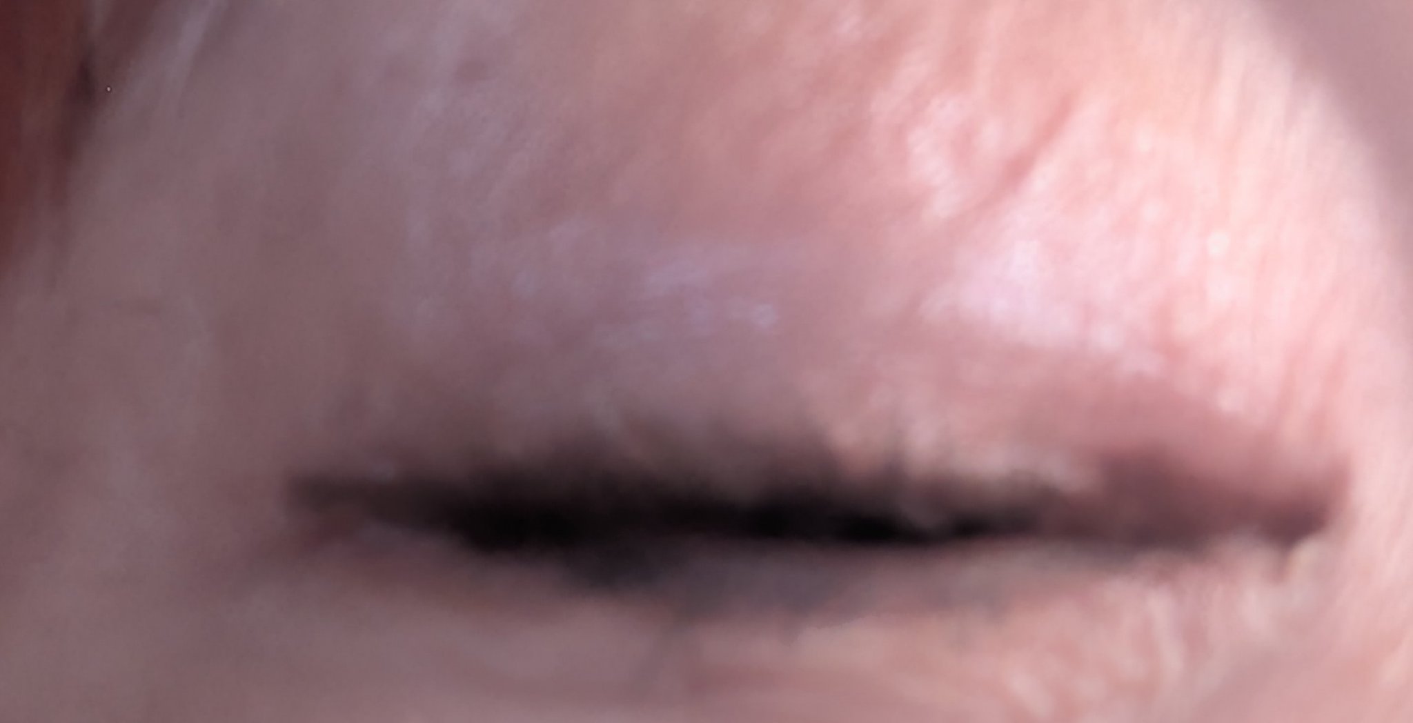 6色アイシャドウパレット/and us/アイシャドウパレットを使ったクチコミ（3枚目）