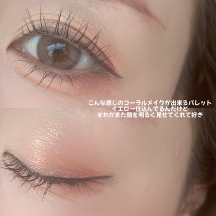 プロ アイ パレット エアー/CLIO/アイシャドウパレットを使ったクチコミ(3枚目)
