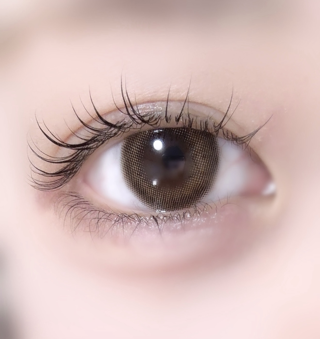 ラルム シリコーンハイドロゲル ダブルモイストUV ワンデー シアーリングベージュ/LARME/カラーコンタクトレンズを使ったクチコミ（1枚目）