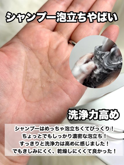 Straine ストレートシャンプー/ストレートトリートメントのクチコミ「\うねり髪に悩める民/
要チェックせよ!その名も「ストレイン」
———-♡——————–♡—.....」(3枚目)