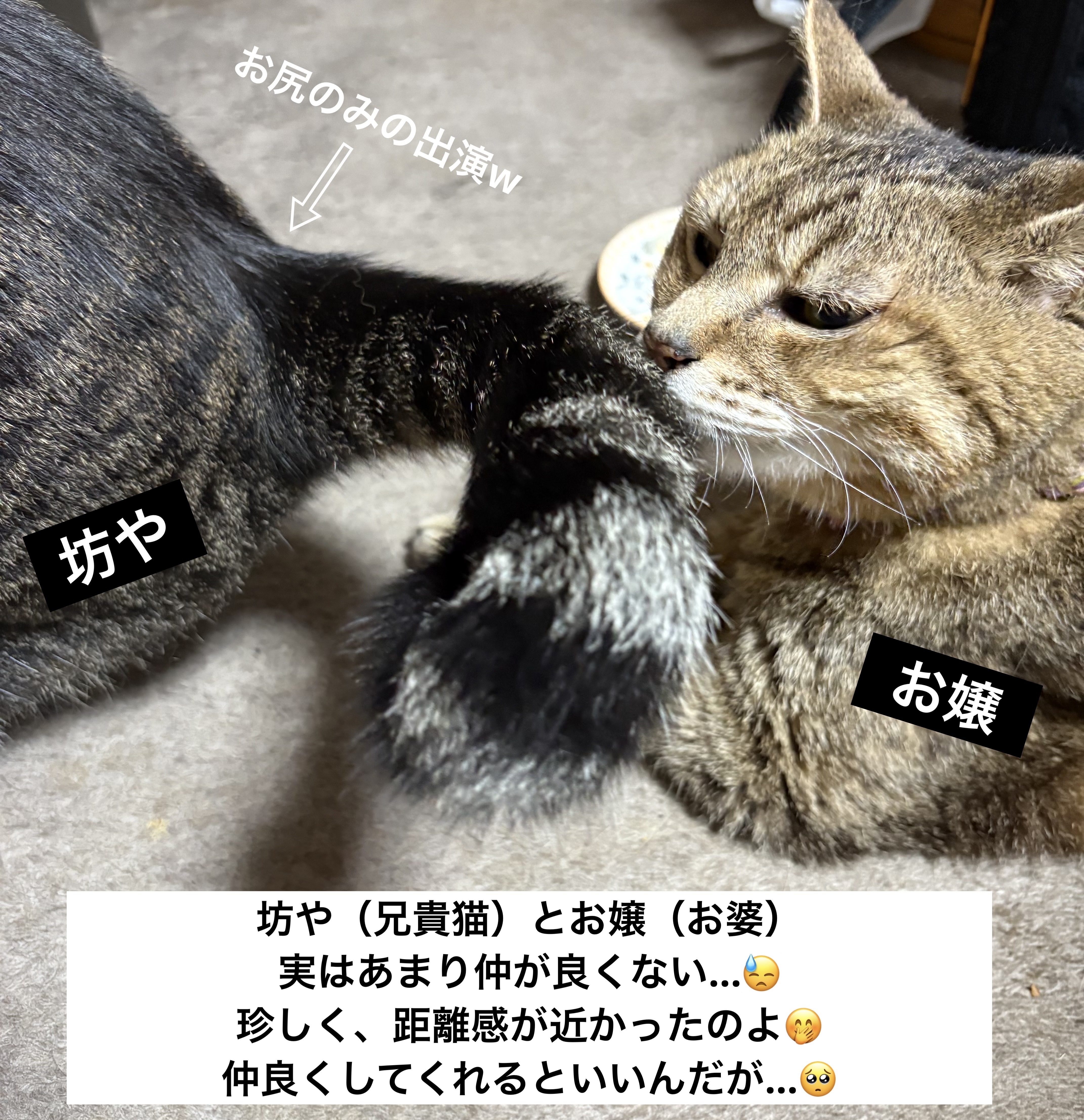 アイ カラー クォード/TOM FORD BEAUTY/アイシャドウパレットを使ったクチコミ（3枚目）