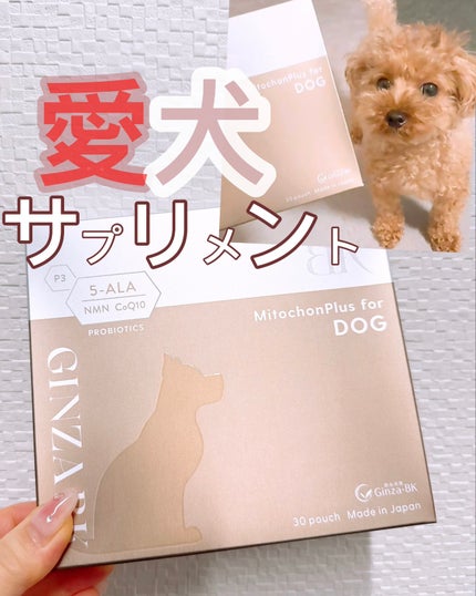 を使ったクチコミ(1枚目)