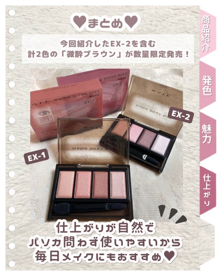 ケイト メロウブラウンアイズ/KATE/アイシャドウパレットを使ったクチコミ(6枚目)