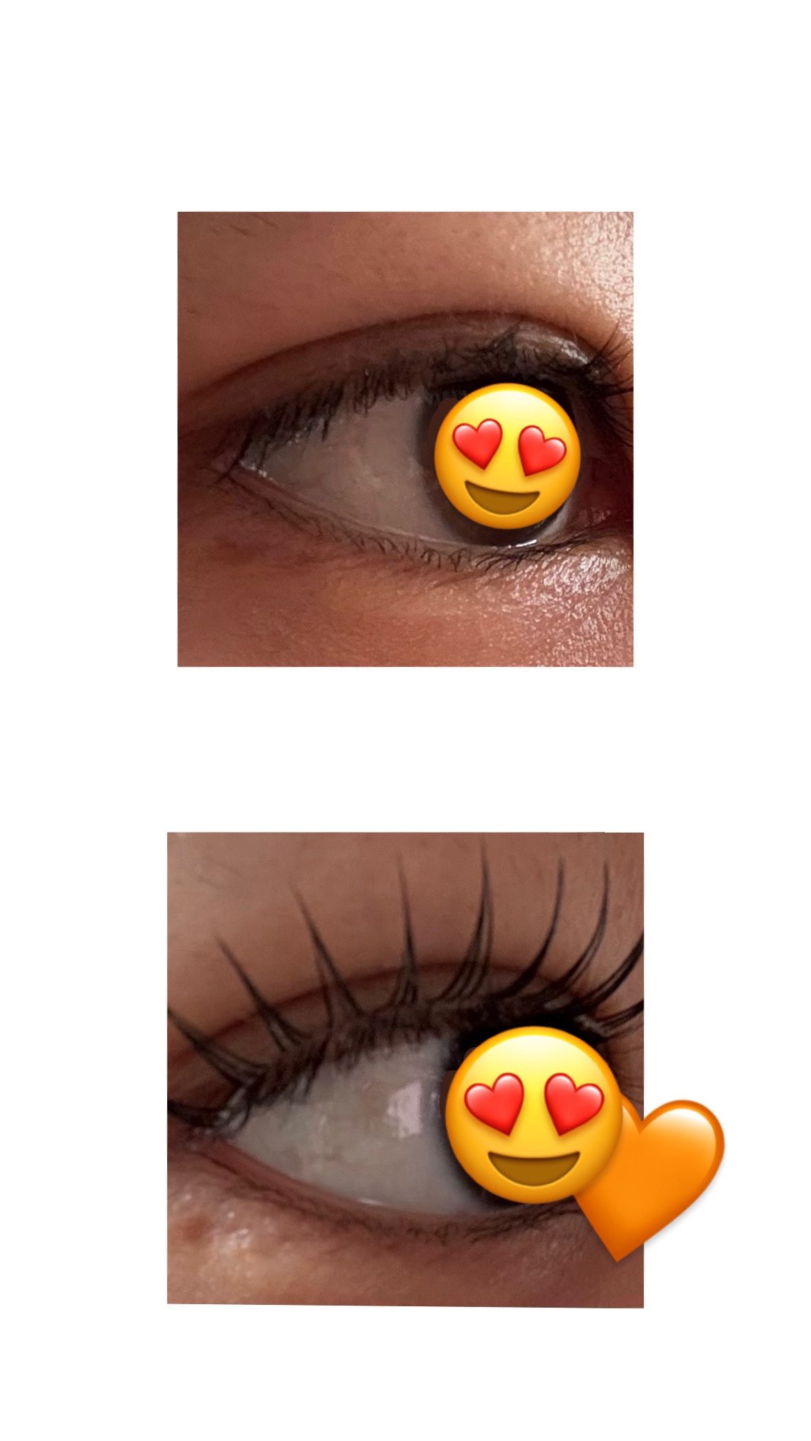 ミッシュブルーミン アイラッシュ インフィニティライン/ミッシュブルーミン/つけまつげを使ったクチコミ（3枚目）