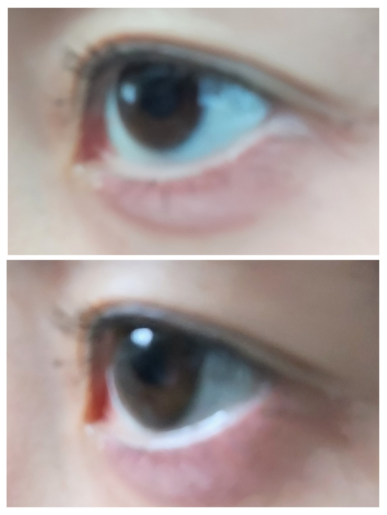 melady 1day/melady/ワンデー（１DAY）カラコンを使ったクチコミ（3枚目）