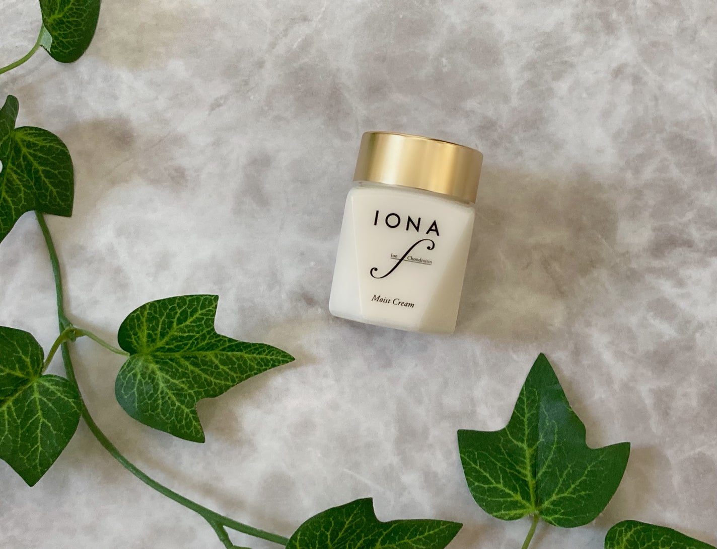 モイスト クリーム/イオナ エフ/フェイスクリームを使ったクチコミ(1枚目)