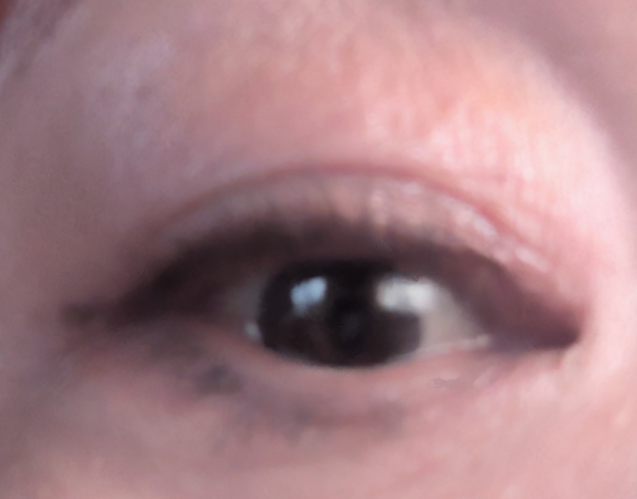 6色アイシャドウパレット/and us/アイシャドウパレットを使ったクチコミ（2枚目）