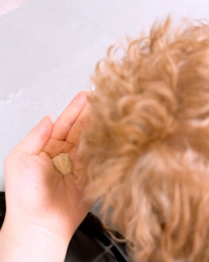 を使ったクチコミ(3枚目)