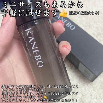 スキン ハーモナイザー/KANEBO/化粧水を使ったクチコミ(2枚目)