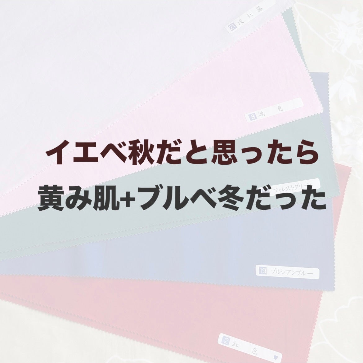 なこ on LIPS 「【イエベ秋かと思ったら、黄み肌+ブルベ冬だった話】※投稿と本文..」(1枚目)