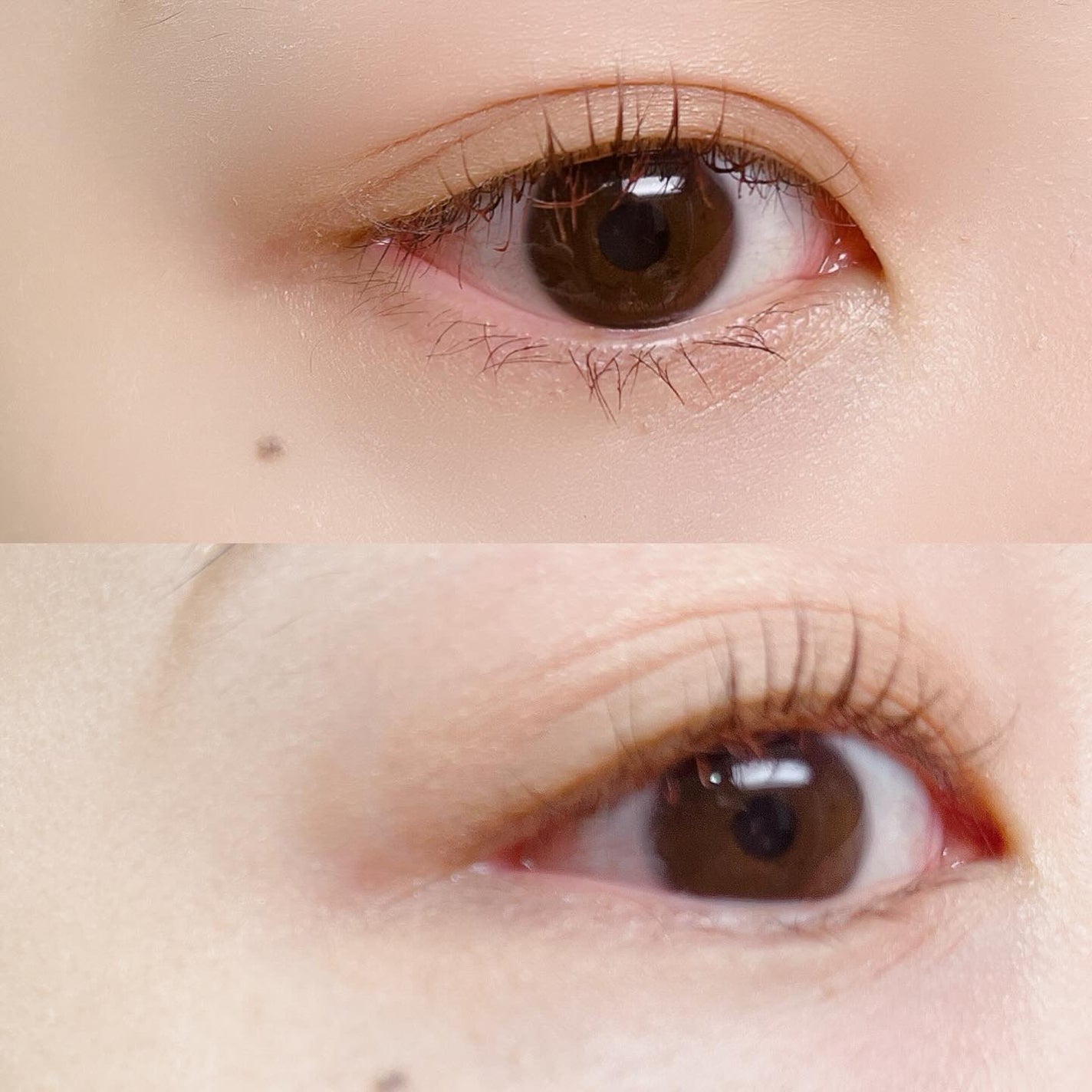 マスカラ WPコーム/3650/マスカラを使ったクチコミ(4枚目)