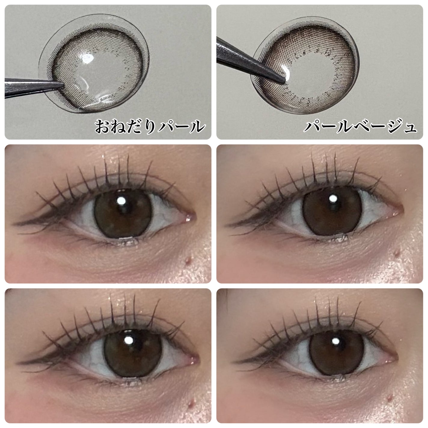 エバーカラーワンデー ナチュラル/エバーカラー/ワンデー(1DAY)カラコンを使ったクチコミ(2枚目)