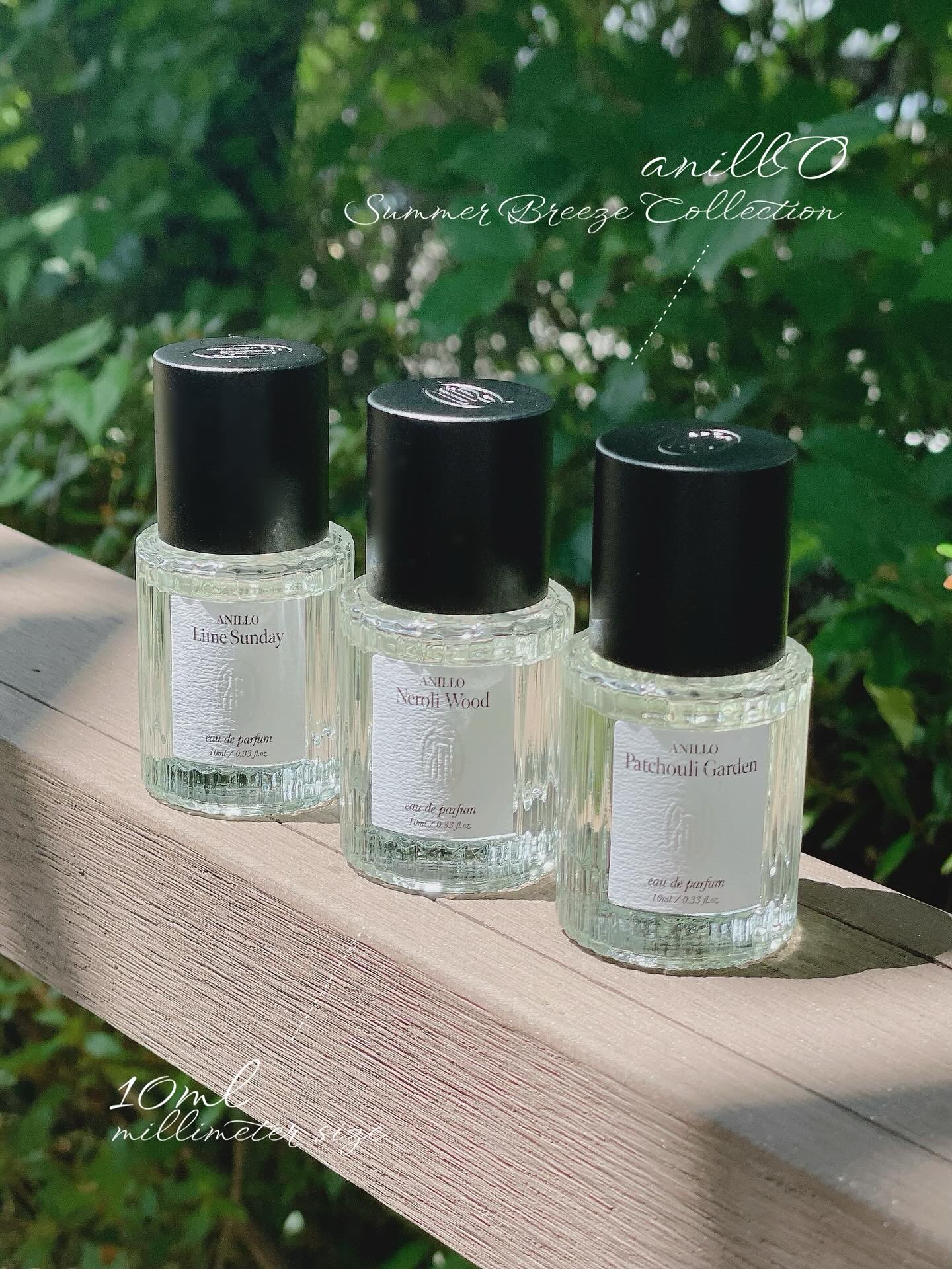 オードパルファム　Lime Sunday/ANILLO/香水(レディース)を使ったクチコミ（2枚目）