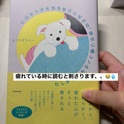 デイリーベーシックパレット/ネイチャーリパブリック/アイシャドウパレットを使ったクチコミ(3枚目)