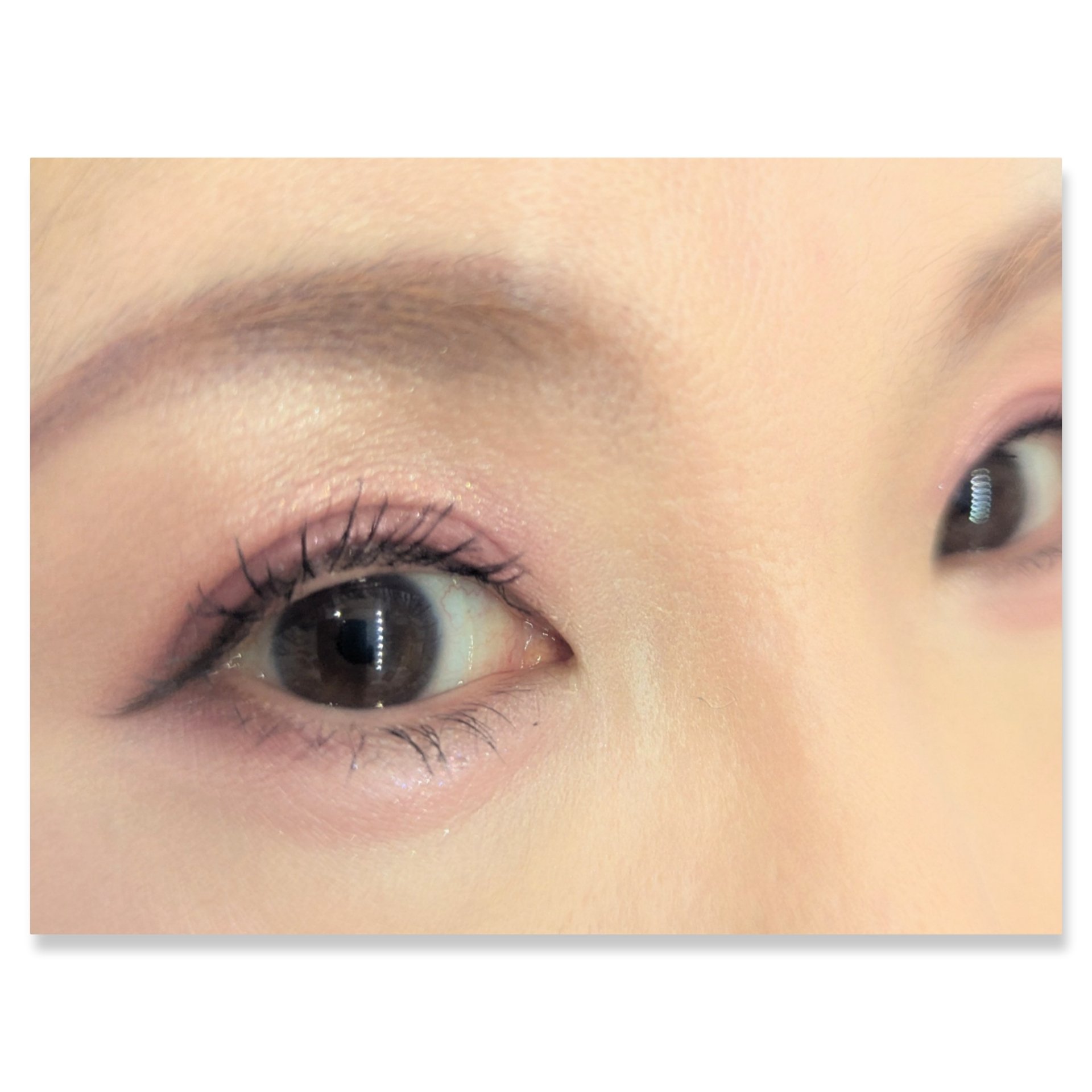 ショコラスウィート アイズ/リンメル ロンドン/アイシャドウパレットを使ったクチコミ（2枚目）