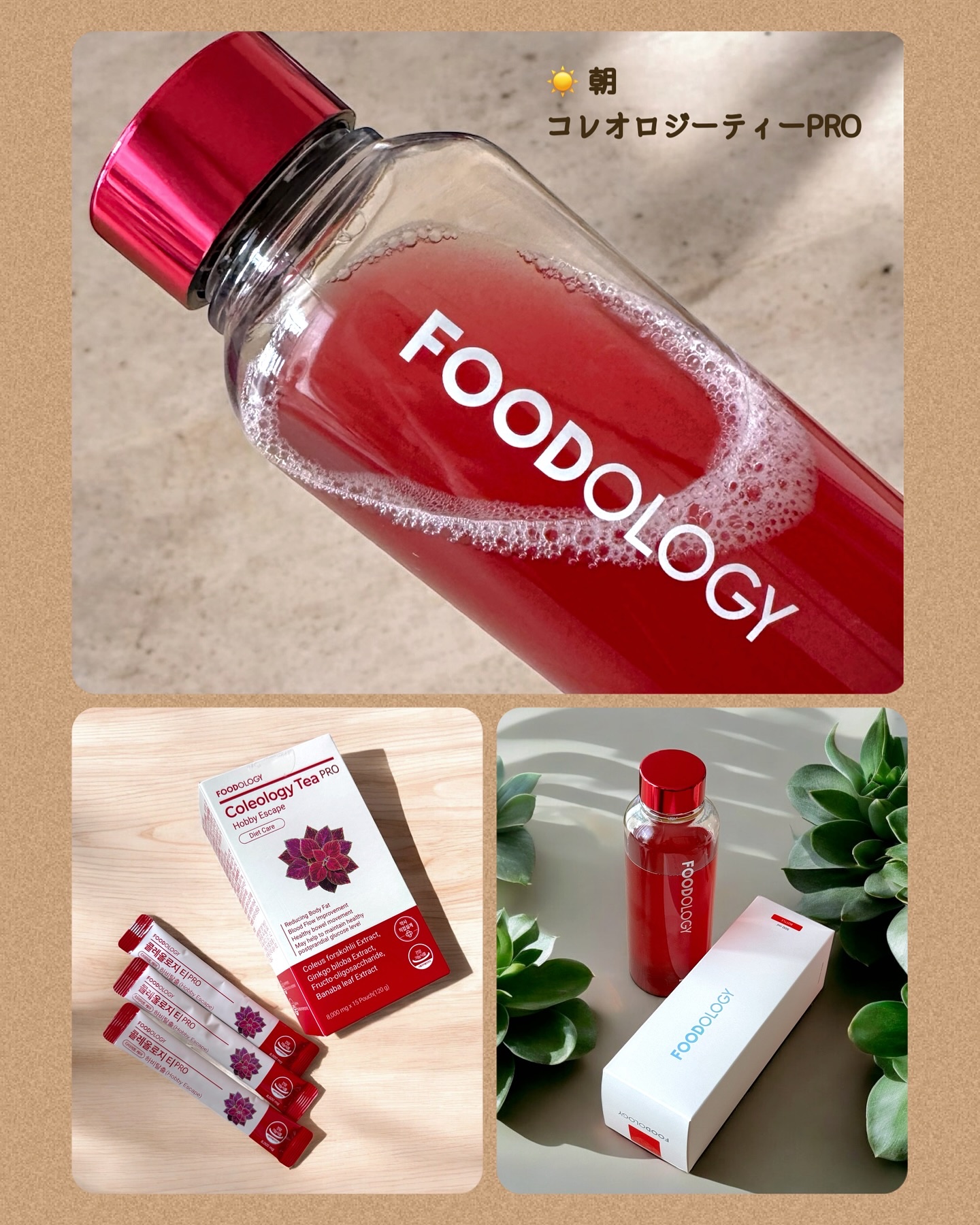 コレオロジーティー/FOODOLOGY/ドリンクを使ったクチコミ（2枚目）