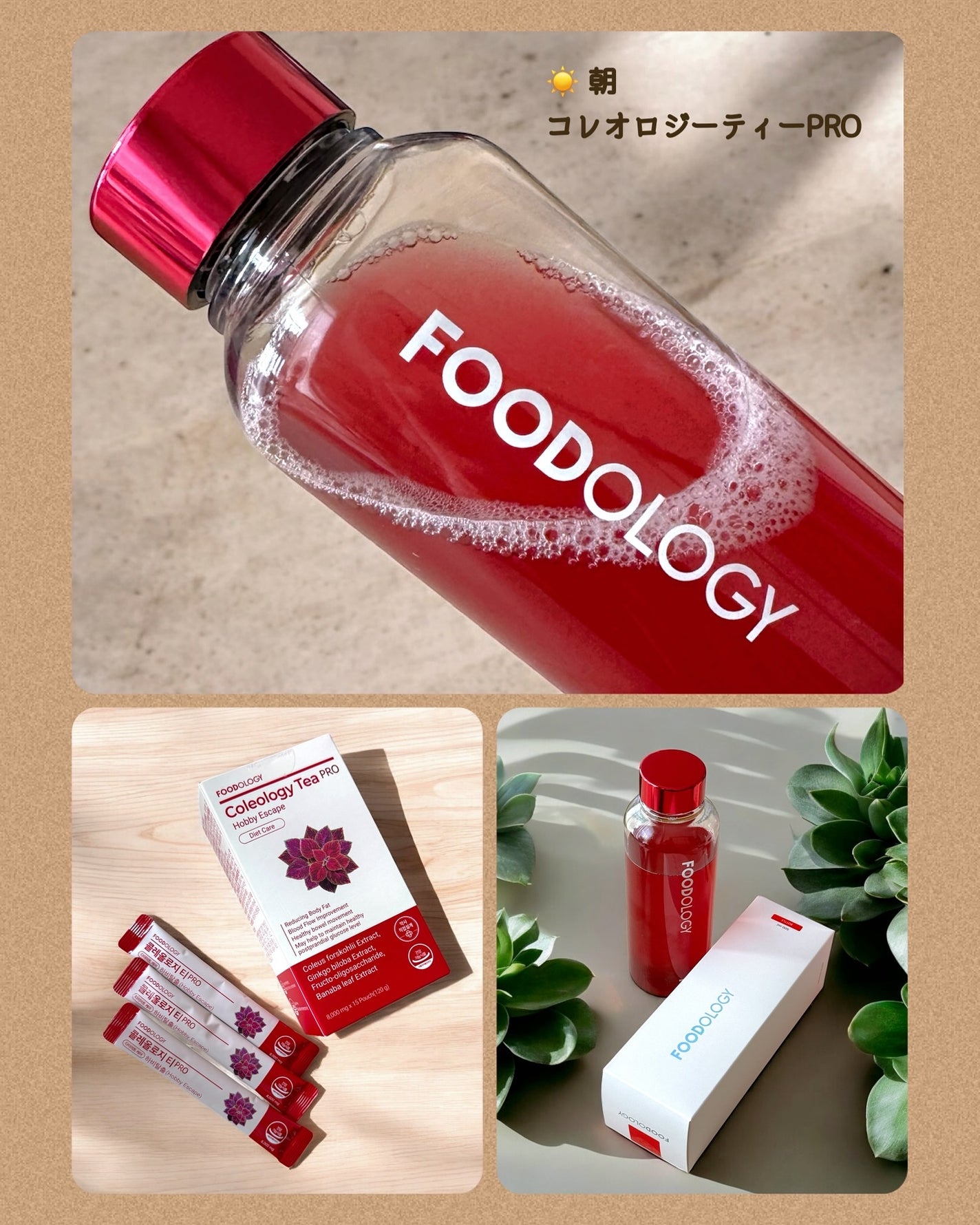 コレオロジーティー/FOODOLOGY/ドリンクを使ったクチコミ(2枚目)